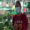 На Філіппінах карантин породив "квіткових браконьєрів"