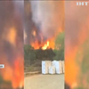 У Каліфорнії утворився вогняний смерч внаслідок лісових пожеж