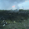 Родичі жертв авіакатастрофи МН-17 виступили у Нідерландському суді