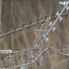 На українсько-білоруському кордоні стартувала спецоперація "Полісся"