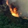 В Киевской и Днепропетровской областях потушены крупные лесные пожары