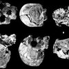 Палеонтологи обнаружили самые древние останки Homo Sapiens