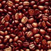 Японские ученые вырастили дерево кофе с низким содержанием кофеина