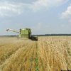 Аграрии Крыма собрали 0,271 миллиона тонн зерна