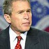 Буш: мы не позволим террористам использовать Африку в качестве базы