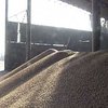 В порты Украины продолжают прибывать суда с импортным зерном