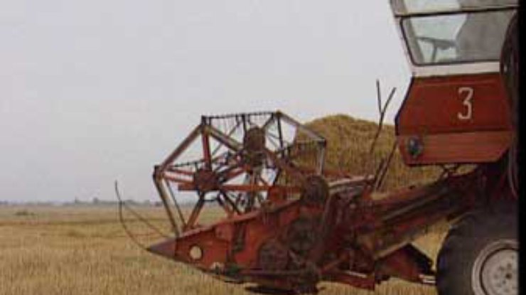 В Украине намолочено 10,7 миллиона тонн зерна