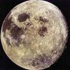 Австралийцам продают Луну по 10 долларов за акр