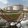 Янукович подтверждает намерение запустить нефтепровод "Одесса-Броды" в конце апреля