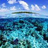 По данным ученых, в мировых океанах растет число "мертвых зон"