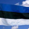 В Эстонии задержан сын российского посла. За пьяную драку