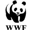 WWF: Олимпиада в Афинах нанесет непоправимый ущерб окружающей среде