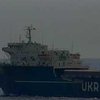 Украинский торговый флот активно завоевывает позиции на рынке