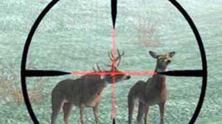 Охотники смогут отстреливать животных через интернет