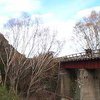 В Новой Зеландии украли 30-метровый мост