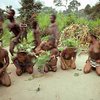 Древние племена негрито спаслись благодаря способности к биолокации