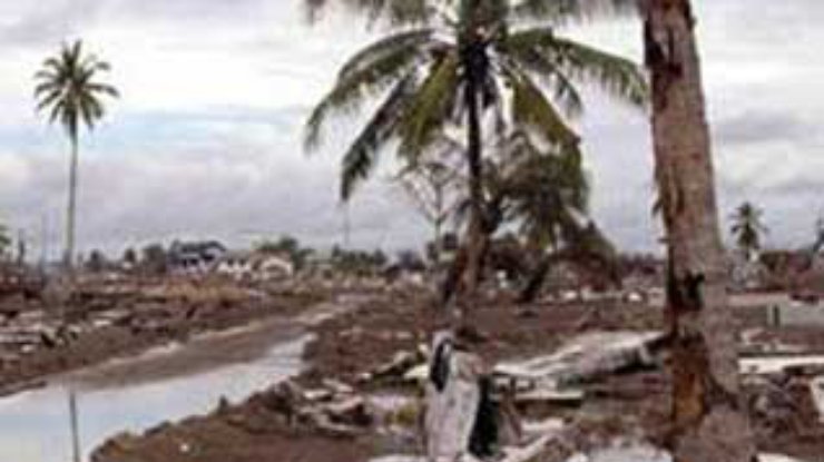 В гибельности цунами виноваты люди