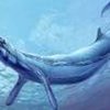 В египетской пустыне найден скелет древнейшего кита