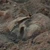 В Беларуси обнаружена братская могила наполеоновских солдат