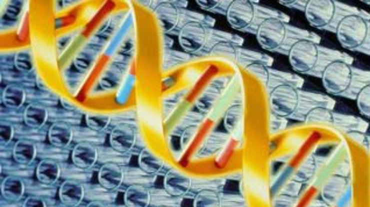 Найдены гены распространенных заболеваний