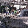 В Днепропетровской области массово гибнут куры