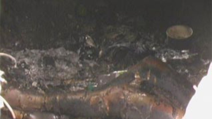 В столичном парке "Дубки" найден обгоревший труп 17-летнего парня