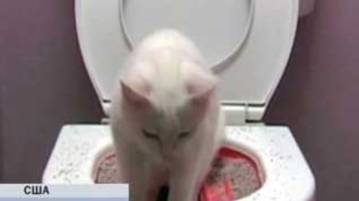 Американские изобретатели освободили хозяев котов от уборки туалета