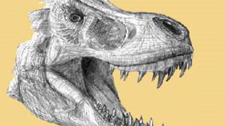 Ученые реконструировали самый большой в мире череп тиранозавра