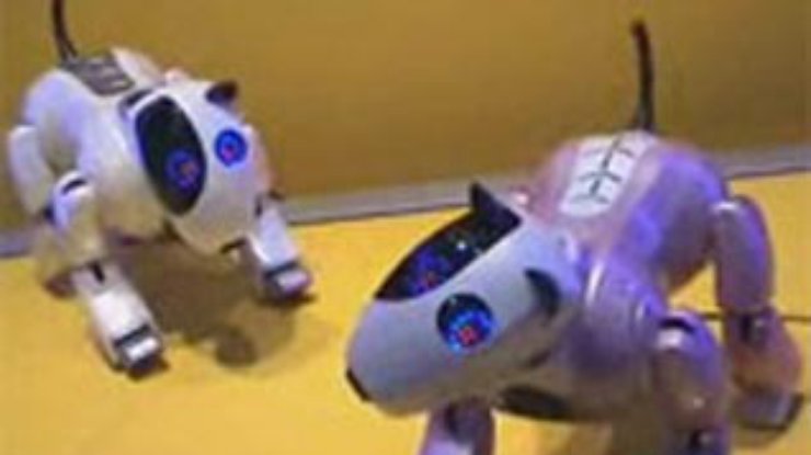 В Корее появились роботы-бультерьеры