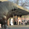 Киевский зоопарк открыл новый сезон