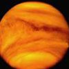 Астрономы обнаружили волны на поверхности облаков Венеры
