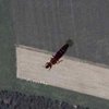 Германию атаковали гигантские насекомые