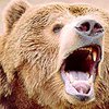 Король Испании отрицает, что убивал пьяного медведя в России