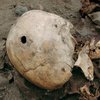 Археологи нашли первую жертву огнестрельного оружия в Новом Свете