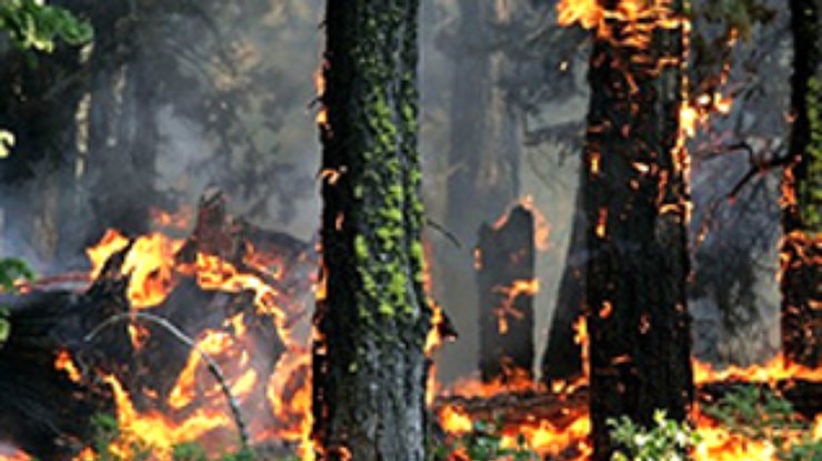 Пожары в Черногории блокировали несколько сел