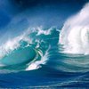 Экологи: Наибольший ущерб нанесен мировому океану