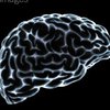В мозге человека обнаружена "аварийная" область