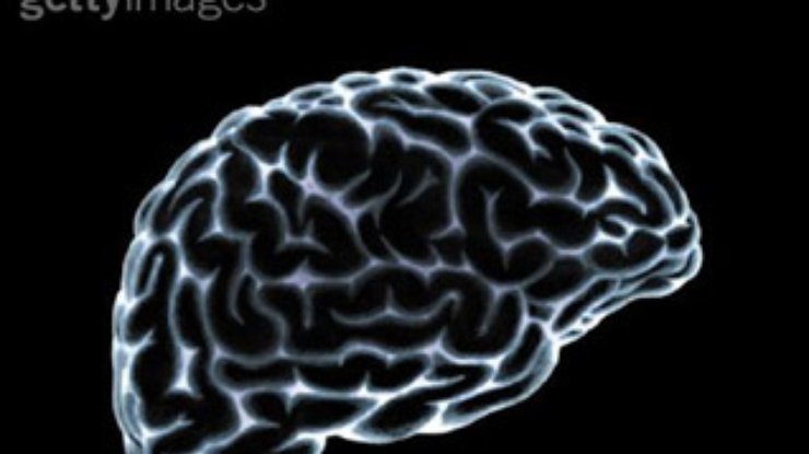 В мозге человека обнаружена "аварийная" область