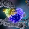 Новый метод генного анализа поможет узнать все о своей ДНК