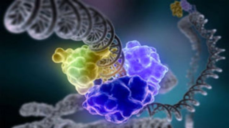 Новый метод генного анализа поможет узнать все о своей ДНК