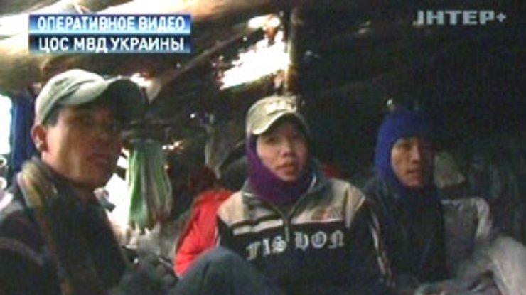 В лесу под Киевом нашли убежище мигрантов-нелегалов