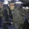 Из шахты в Луганской области экстренно эвакуированы 299 горняков