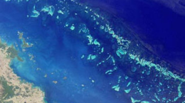 Большой барьерный риф может полностью исчезнуть через 30 лет