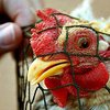 ВОЗ предупреждает о возможности передачи "птичьего гриппа"  от человека к человеку