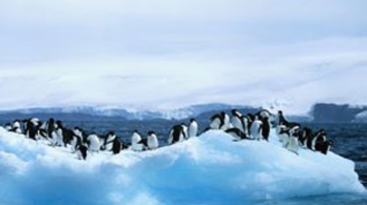 В самый жаркий период климата Земли Антарктида "обзавелась" ледниками
