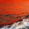 Китайские ученые: Морская вода краснеет от плохой экологии