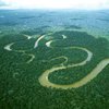 Бразильские власти сохранят леса Амазонки?