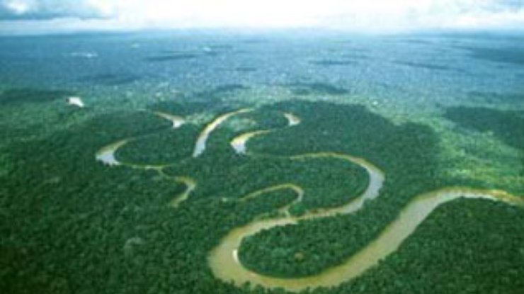 Бразильские власти сохранят леса Амазонки?