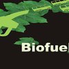 Ученые: Биотопливо наносит ущерб природе