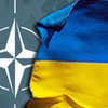 Сторонников НАТО в Украине становится все меньше